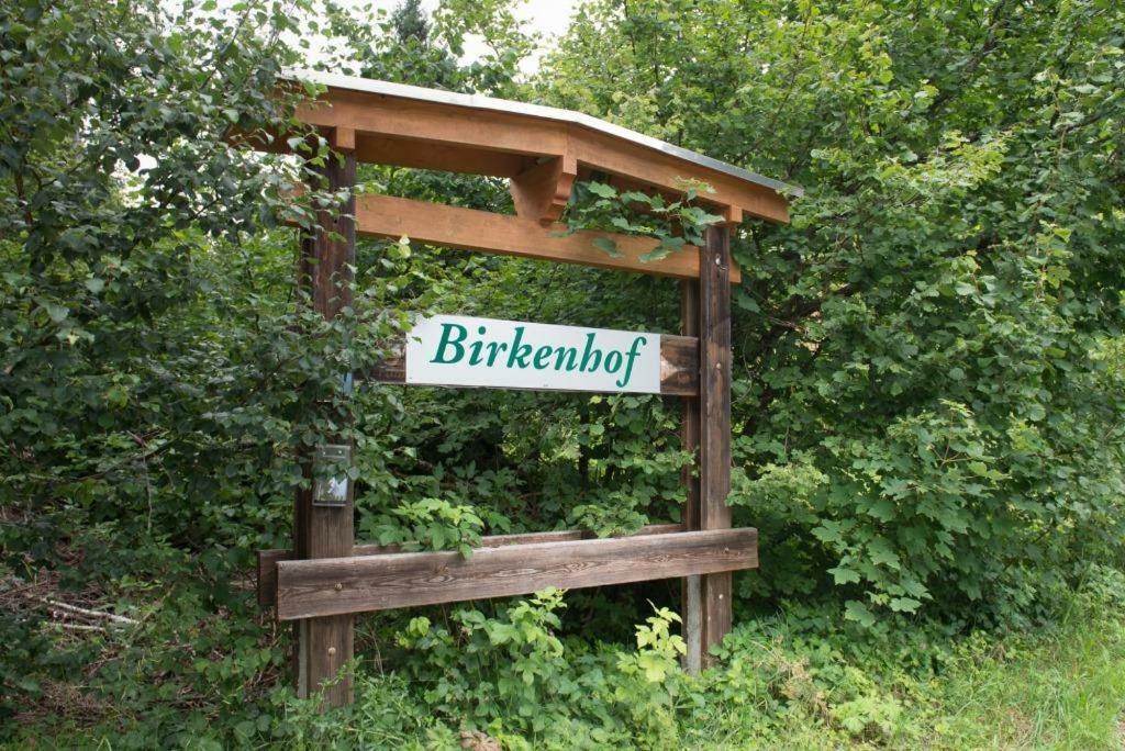 Birkenhof - Schimek Apartment Buerserberg Luaran gambar